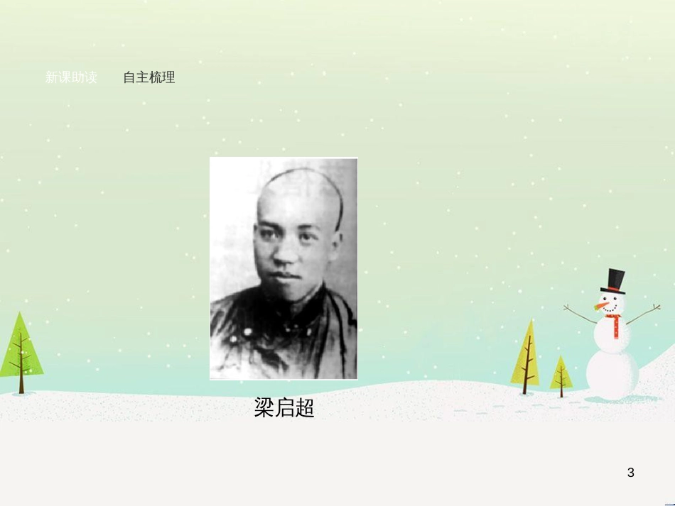 高中政治 第1课 生活在人民当家作主的国家 第2框 政治权利与义务参与政治生活的基础课件 新人教版必修2 (2121)_第3页