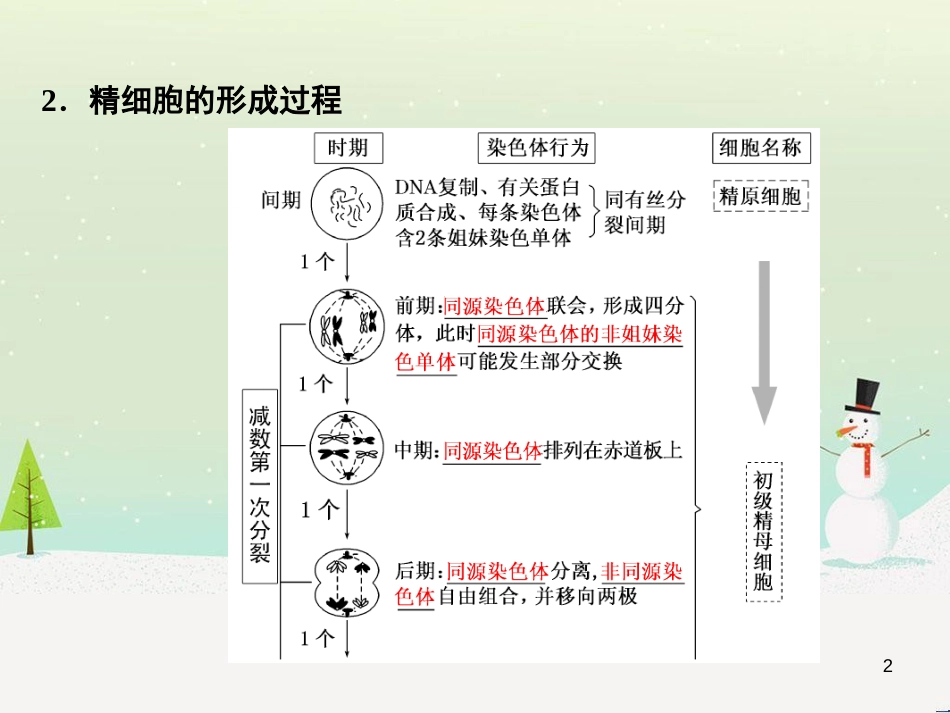 高考化学一轮复习 第1章 化学计量在实验中的应用 第1讲 物质的量 气体摩尔体积课件 新人教版 (33)_第2页