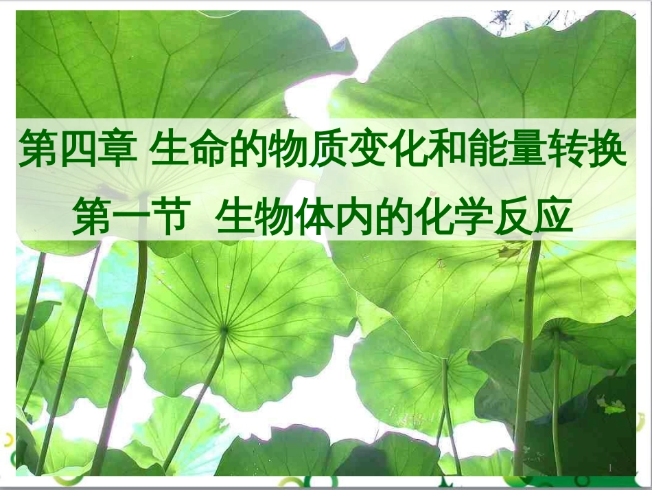 高中生物 专题5 生态工程 阶段复习课课件 新人教版选修3 (225)_第1页
