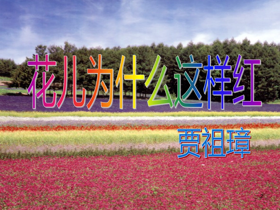 高中政治 第一单元 文化与生活 第一课 文化与社会 第一框 体味文化课件 新人教版必修3 (13)_第2页