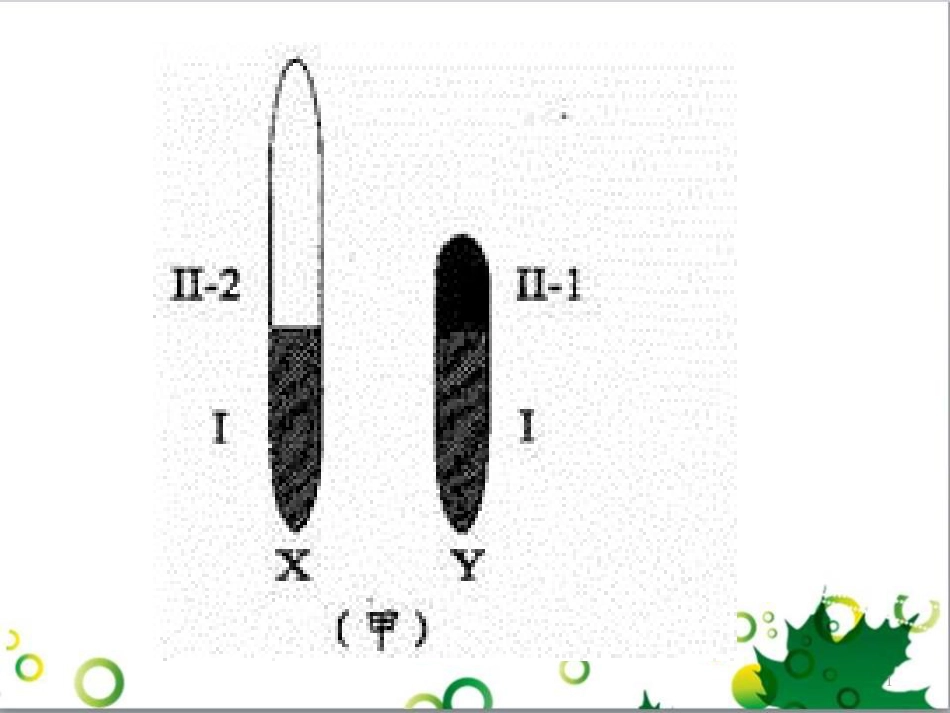 高中生物 专题5 生态工程 阶段复习课课件 新人教版选修3 (220)_第1页