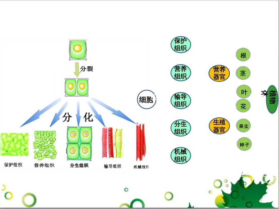 高中生物 专题5 生态工程 阶段复习课课件 新人教版选修3 (193)_第2页