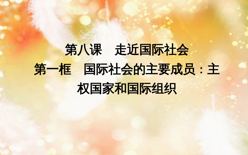 高中政治 第四单元 当代国际社会 第八课 走近国际社会 第一框 国际社会的主要成员主权国家和国际组织课件 新人教版必修2_第3页
