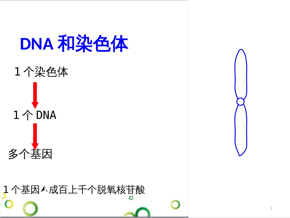 高中生物 专题5 生态工程 阶段复习课课件 新人教版选修3 (177)_第1页