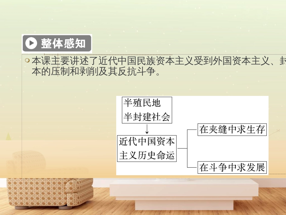 高中政治 第1课 生活在人民当家作主的国家 第2框 政治权利与义务参与政治生活的基础课件 新人教版必修2 (749)_第3页