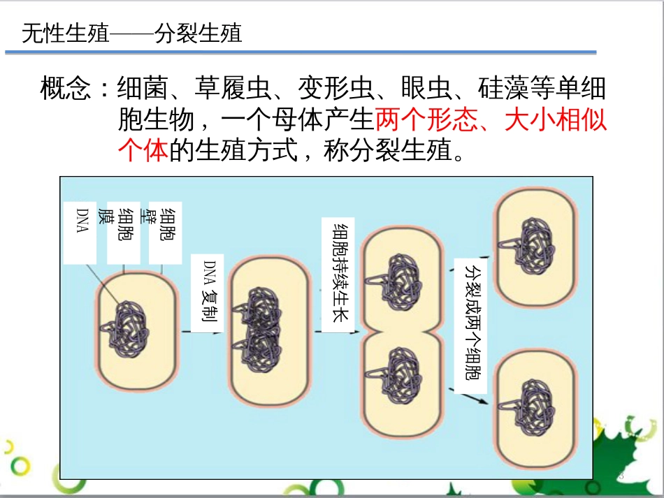 高中生物 专题5 生态工程 阶段复习课课件 新人教版选修3 (183)_第3页