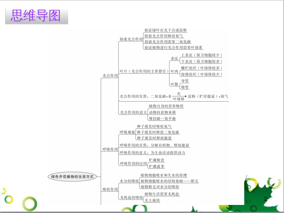 三年级语文上册 第三单元期末总复习课件 新人教版 (1261)_第2页