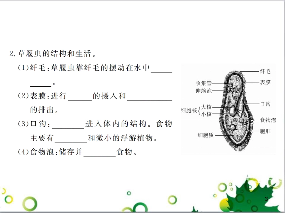 三年级语文上册 第三单元期末总复习课件 新人教版 (1242)_第3页