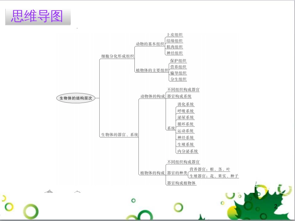 三年级语文上册 第三单元期末总复习课件 新人教版 (1239)_第2页