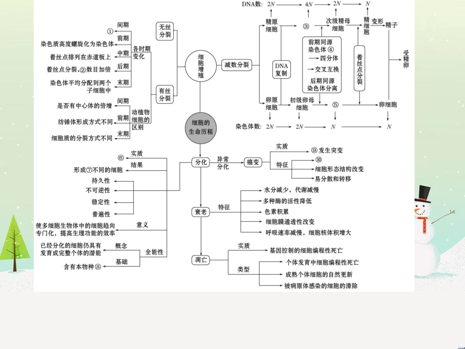 高考地理二轮复习 考前三个月 第二部分 专题二 解题技能提升练 11 基础知识调用专练——破解“基础知识用不上”困惑课件 (443)_第2页