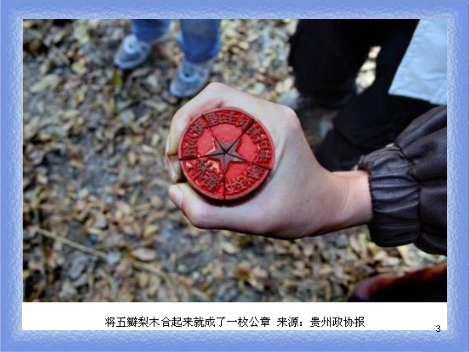 九年级道德与法治上册 第二单元 民主与法治 第三课 追求民主价值 第1框 生活在民主国家课件 新人教版_第3页
