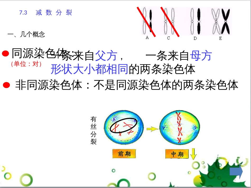 高中生物 专题5 生态工程 阶段复习课课件 新人教版选修3 (191)_第1页