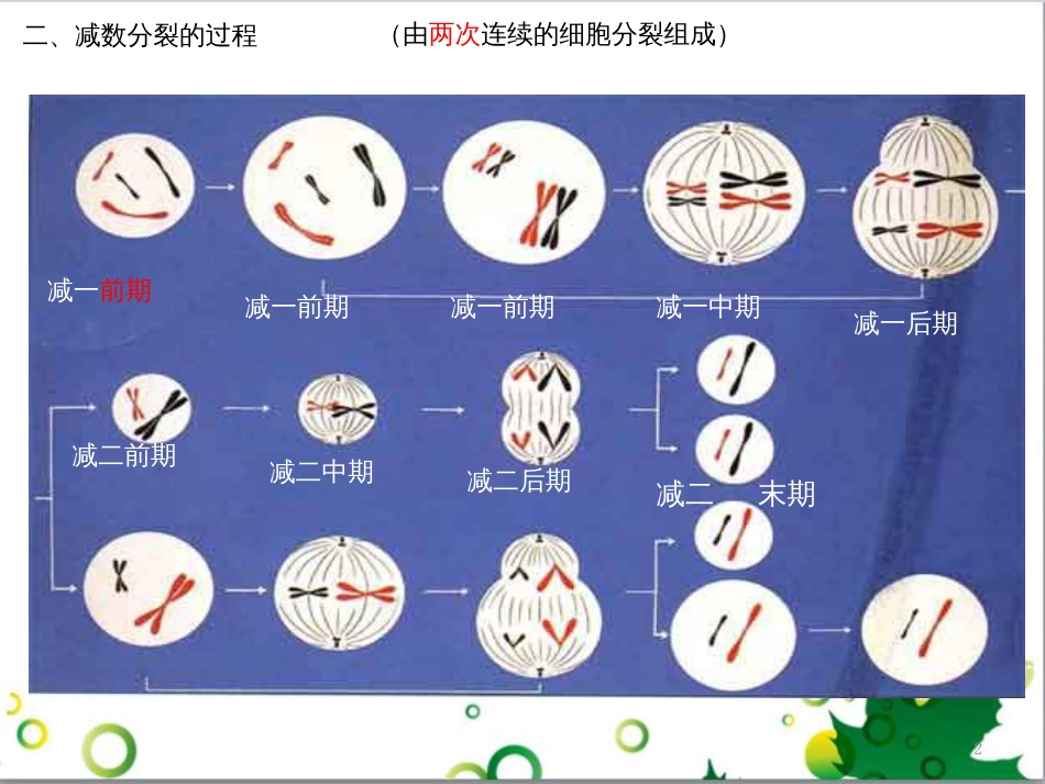 高中生物 专题5 生态工程 阶段复习课课件 新人教版选修3 (191)_第2页