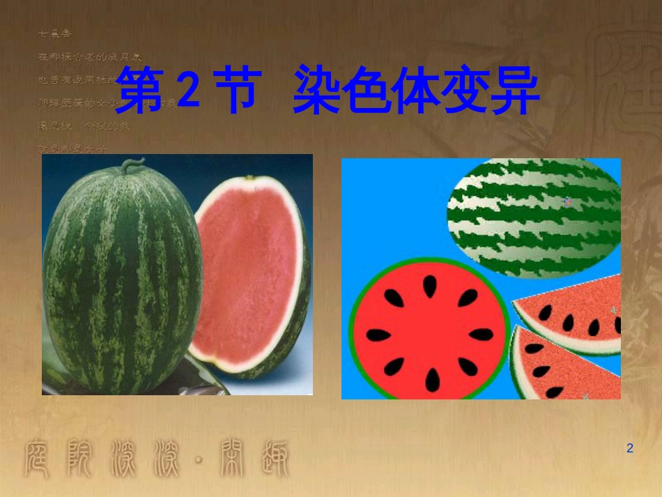 高中生物 专题2 细胞工程 2.2 动物细胞工程 动物细胞融合与单克隆抗体（第2课时）课件 新人教版选修3 (6)_第2页