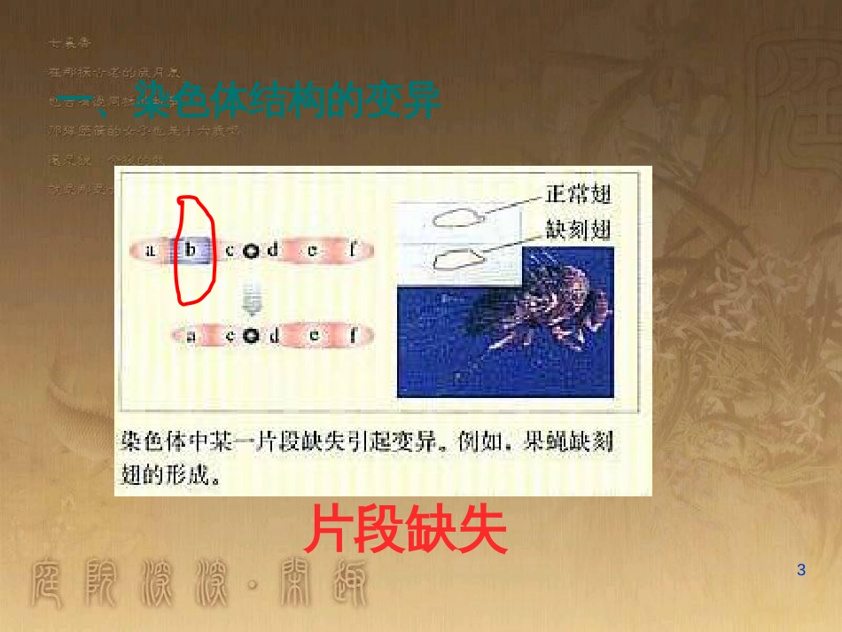 高中生物 专题2 细胞工程 2.2 动物细胞工程 动物细胞融合与单克隆抗体（第2课时）课件 新人教版选修3 (6)_第3页