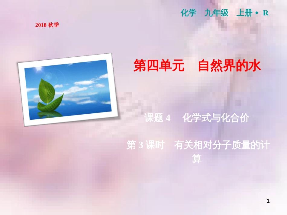 九年级化学上册 第4单元 自然界的水 课题4 化学式与化合价 第3课时 有关相对分子质量的计算作业课件 （新版）新人教版_第1页