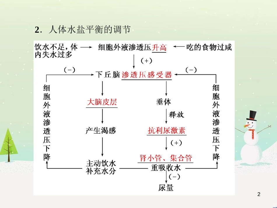 高考化学一轮复习 第1章 化学计量在实验中的应用 第1讲 物质的量 气体摩尔体积课件 新人教版 (28)_第2页