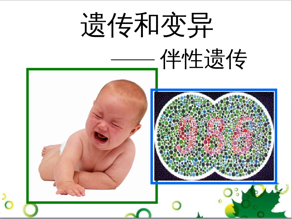 高中生物 专题5 生态工程 阶段复习课课件 新人教版选修3 (204)_第1页
