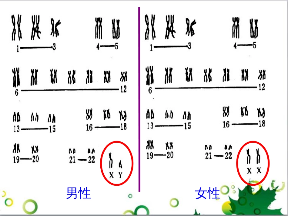 高中生物 专题5 生态工程 阶段复习课课件 新人教版选修3 (204)_第2页