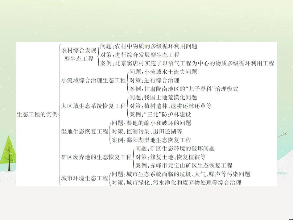 高中政治 第1课 生活在人民当家作主的国家 第2框 政治权利与义务参与政治生活的基础课件 新人教版必修2 (1074)_第3页