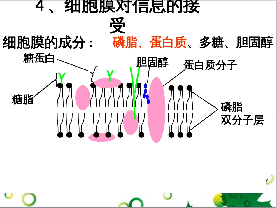 高中生物 专题5 生态工程 阶段复习课课件 新人教版选修3 (217)_第2页