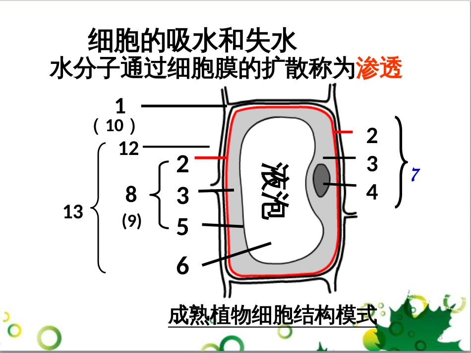 高中生物 专题5 生态工程 阶段复习课课件 新人教版选修3 (217)_第3页