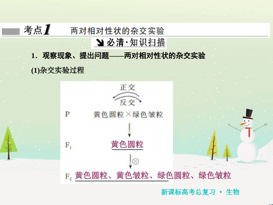 高考化学一轮复习 第1章 化学计量在实验中的应用 第1讲 物质的量 气体摩尔体积课件 新人教版 (111)_第2页