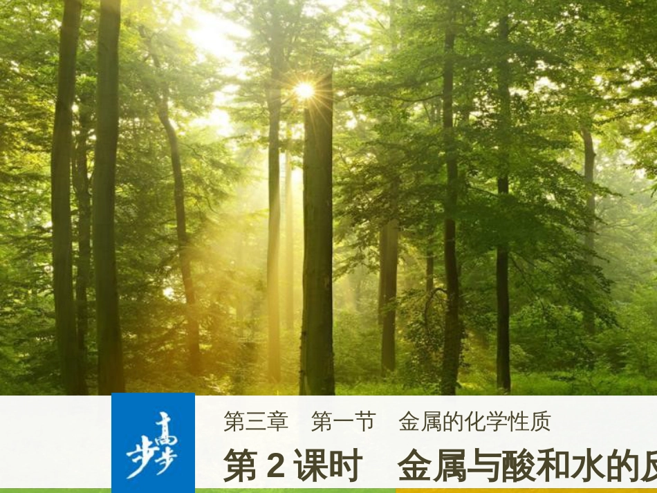 高中政治 第1课 生活在人民当家作主的国家 第2框 政治权利与义务参与政治生活的基础课件 新人教版必修2 (556)_第1页