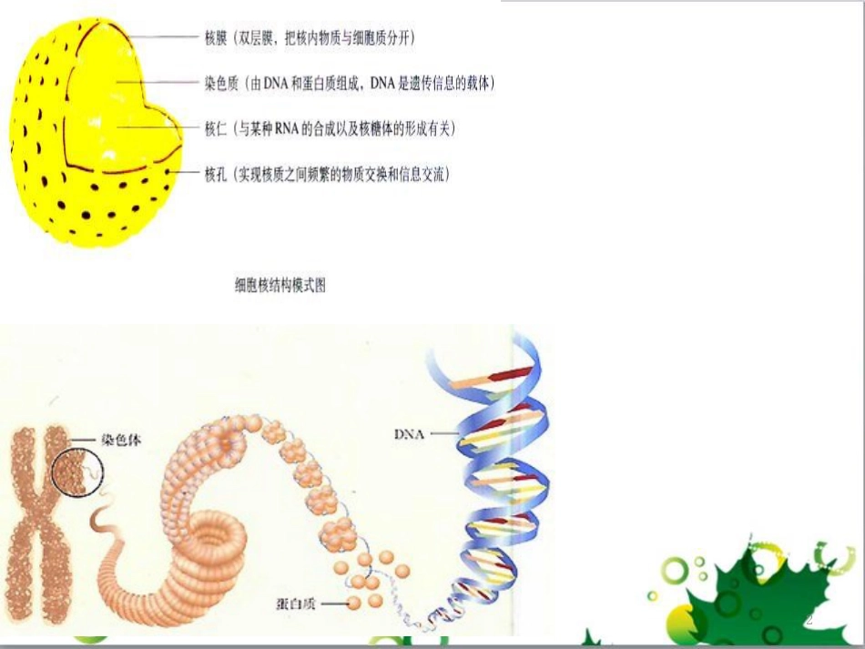高中生物 专题5 生态工程 阶段复习课课件 新人教版选修3 (181)_第2页