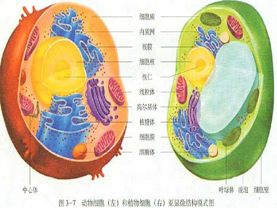 高中生物 专题5 生态工程 阶段复习课课件 新人教版选修3 (140)_第3页