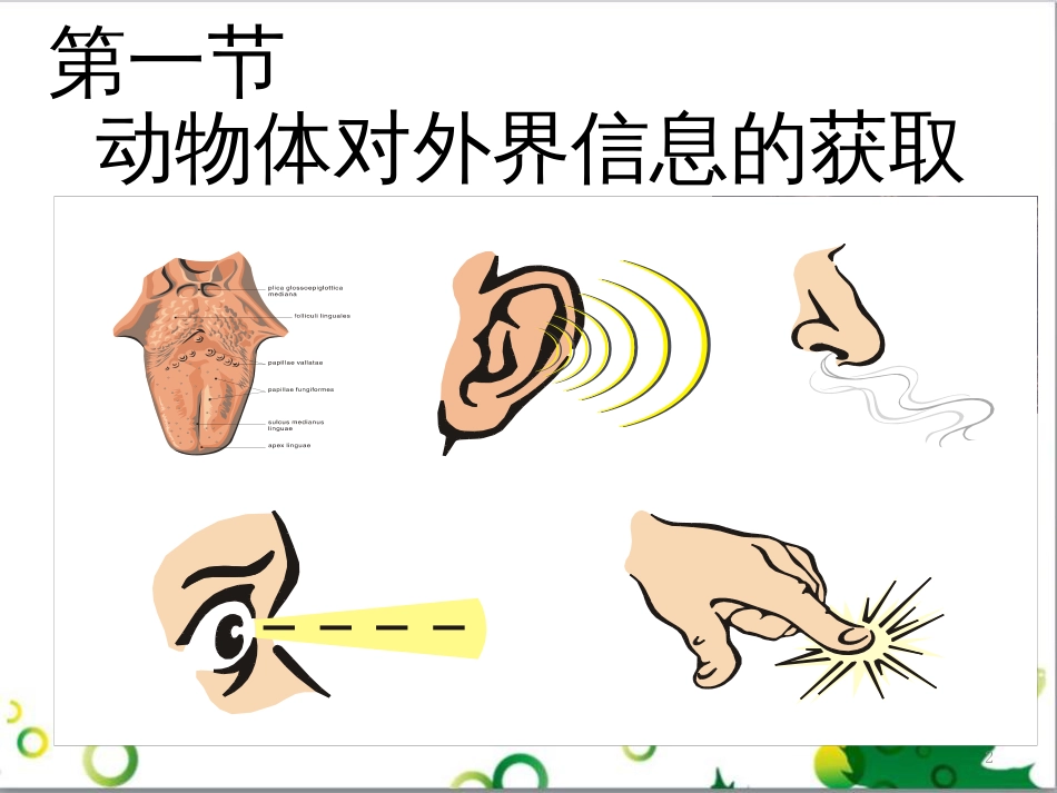 高中生物 专题5 生态工程 阶段复习课课件 新人教版选修3 (170)_第2页