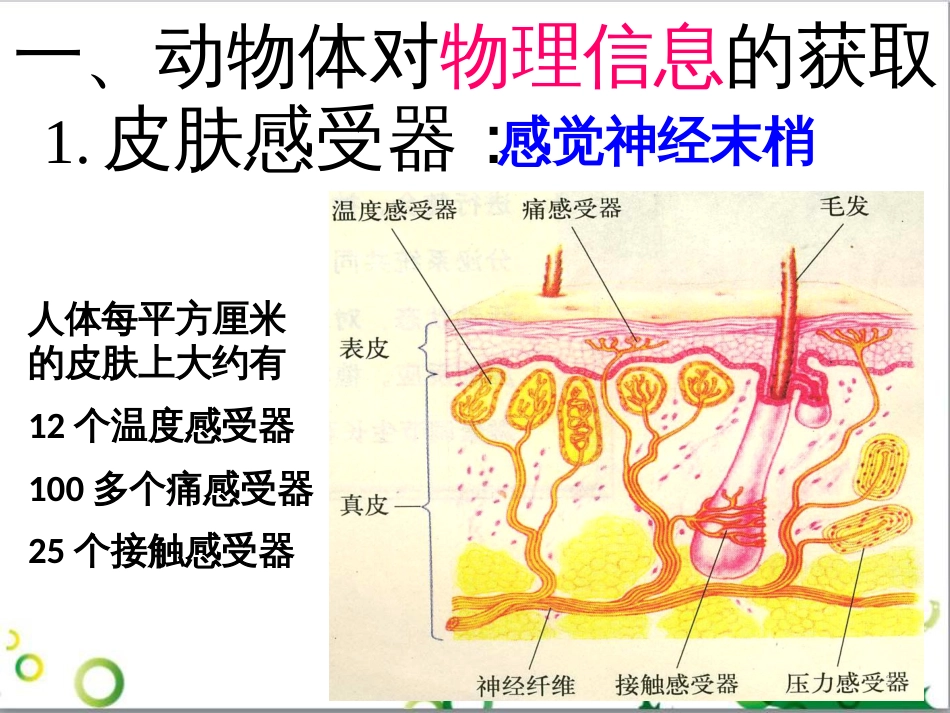 高中生物 专题5 生态工程 阶段复习课课件 新人教版选修3 (170)_第3页