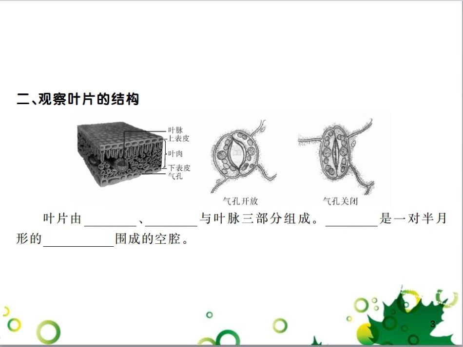 三年级语文上册 第三单元期末总复习课件 新人教版 (1273)_第3页