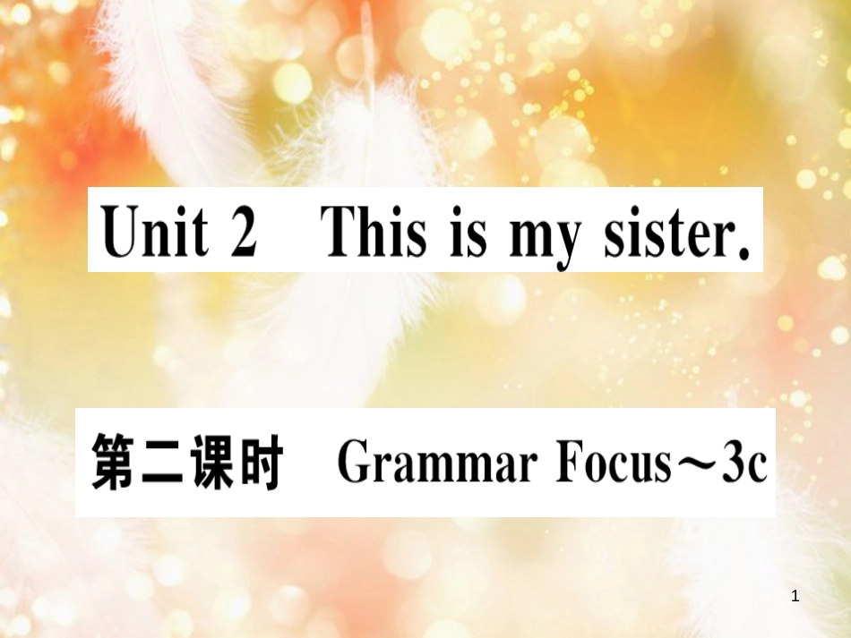 七年级英语上册 Unit 2 This is my sister（第2课时）习题课件 （新版）人教新目标版_第1页