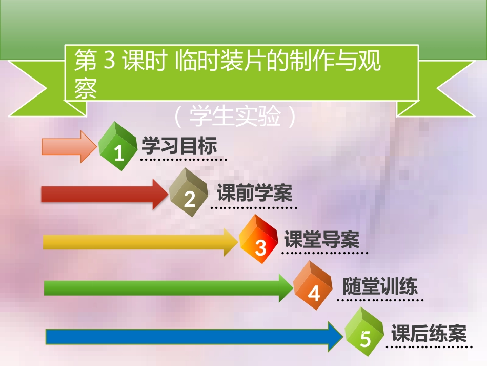 七年级生物上册 第二单元 第3章 第1节 细胞的基本结构和功能（第3课时 临时装片的制作与观察（学生实验））习题课件 （新版）北师大版_第2页