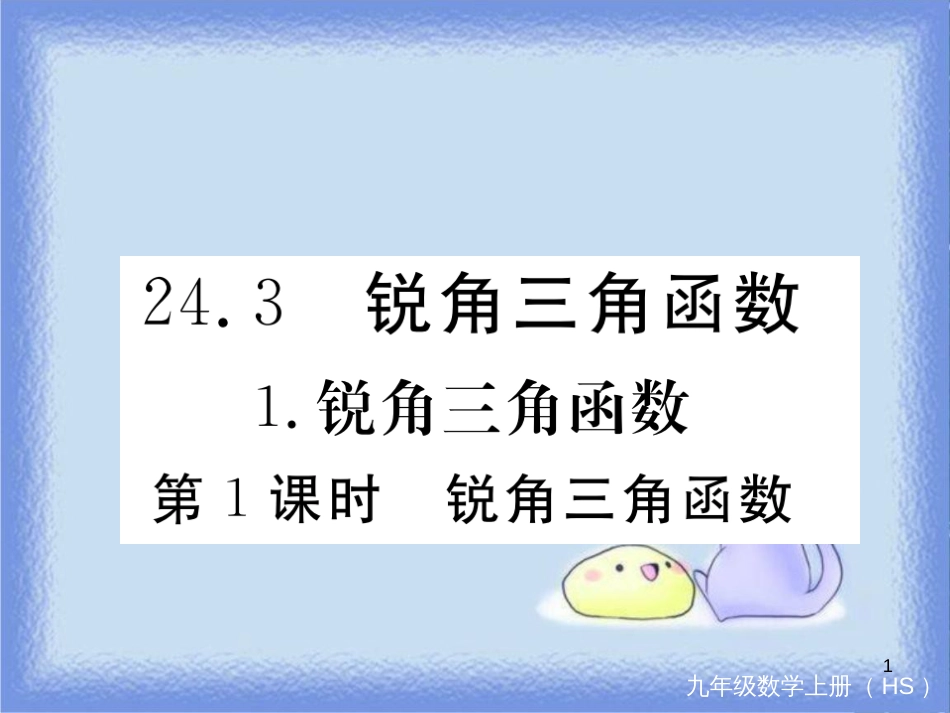 九年级数学上册 第24章 解直角三角形 24.3 锐角三角函数 24.3.1 锐角三角函数 第1课时 锐角三角函数习题讲评课件 （新版）华东师大版_第1页
