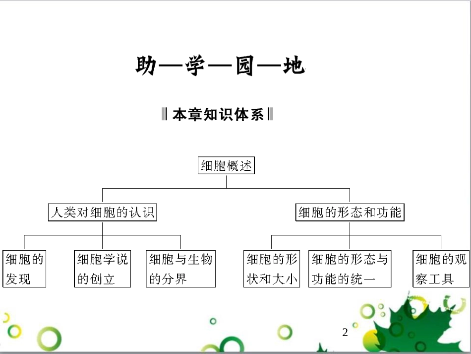 九年级历史上册 总复习课件 北师大版 (37)_第2页