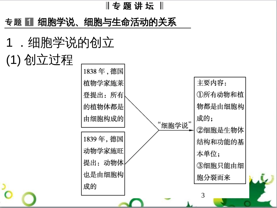 九年级历史上册 总复习课件 北师大版 (37)_第3页