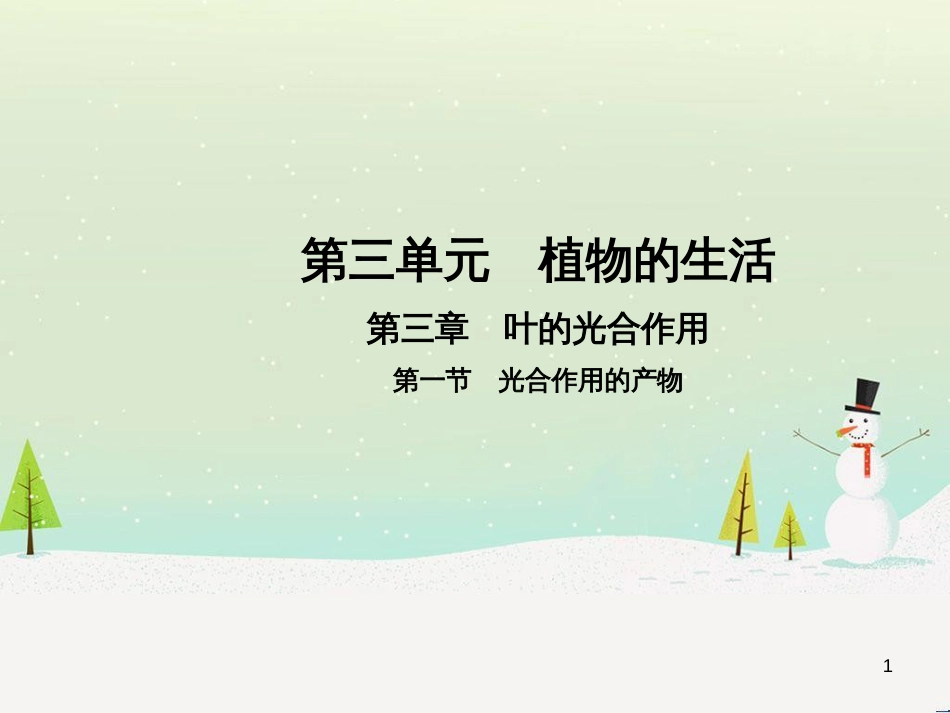 高中政治 第1课 生活在人民当家作主的国家 第2框 政治权利与义务参与政治生活的基础课件 新人教版必修2 (9)_第1页