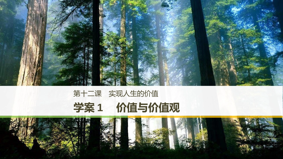 2017-2018学年高中政治 第四单元 认识社会与价值选择 第十二课 实现人生的价值 1 价值与价值观课件 新人教版必修4_第1页