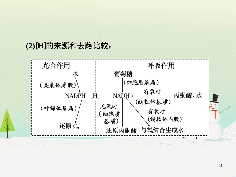 高考化学一轮复习 第1章 化学计量在实验中的应用 第1讲 物质的量 气体摩尔体积课件 新人教版 (41)_第3页