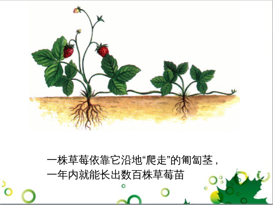 高中生物 专题5 生态工程 阶段复习课课件 新人教版选修3 (195)_第3页