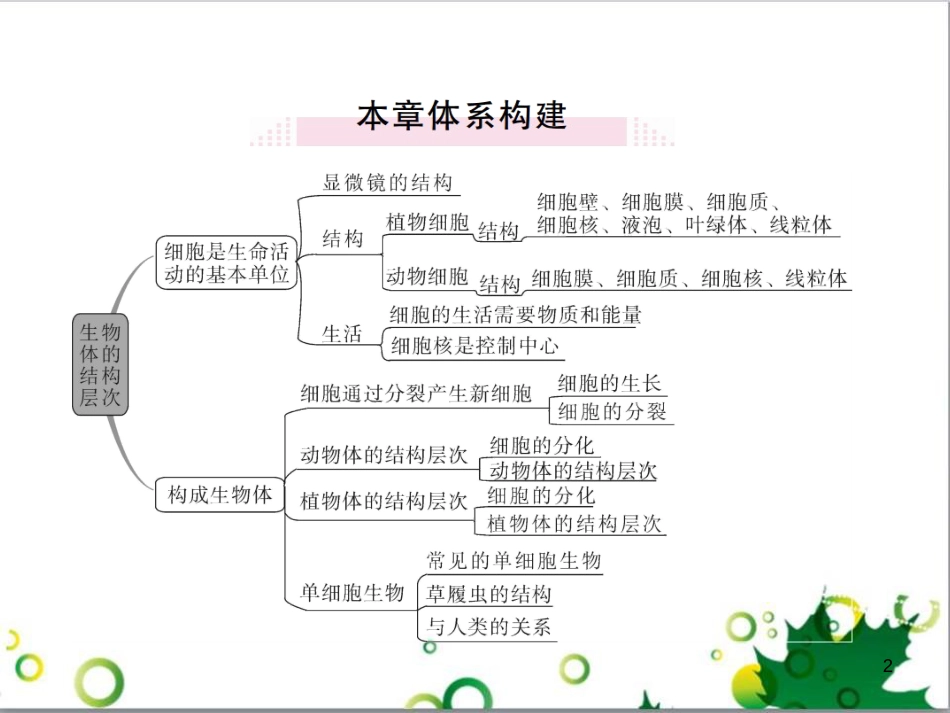 三年级语文上册 第三单元期末总复习课件 新人教版 (1251)_第2页