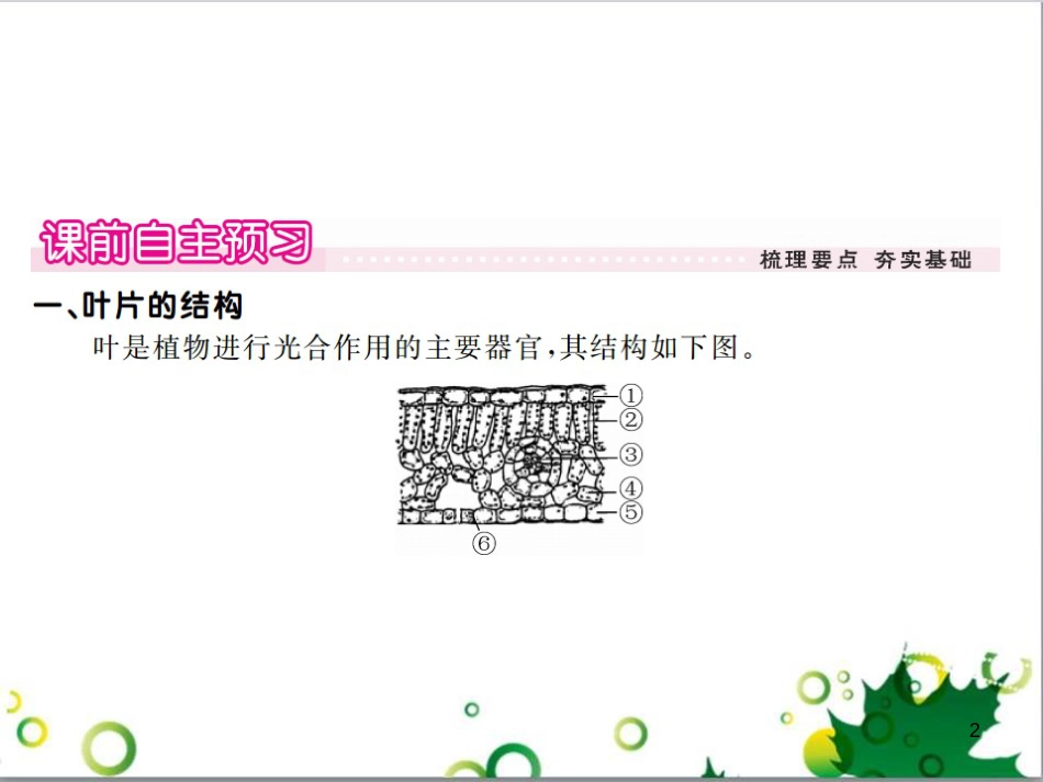 三年级语文上册 第三单元期末总复习课件 新人教版 (1254)_第2页