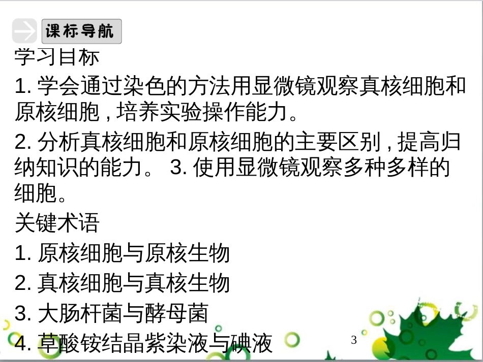 九年级历史上册 总复习课件 北师大版 (35)_第3页