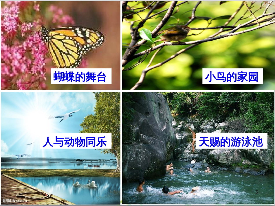 高中生物 专题5 生态工程 阶段复习课课件 新人教版选修3 (106)_第2页