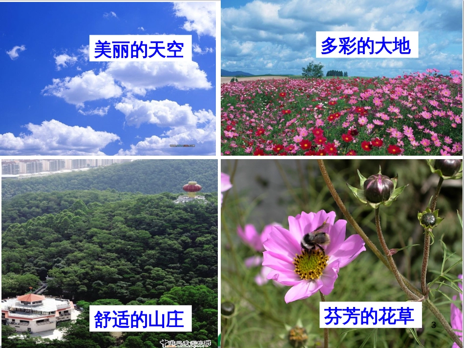 高中生物 专题5 生态工程 阶段复习课课件 新人教版选修3 (106)_第3页