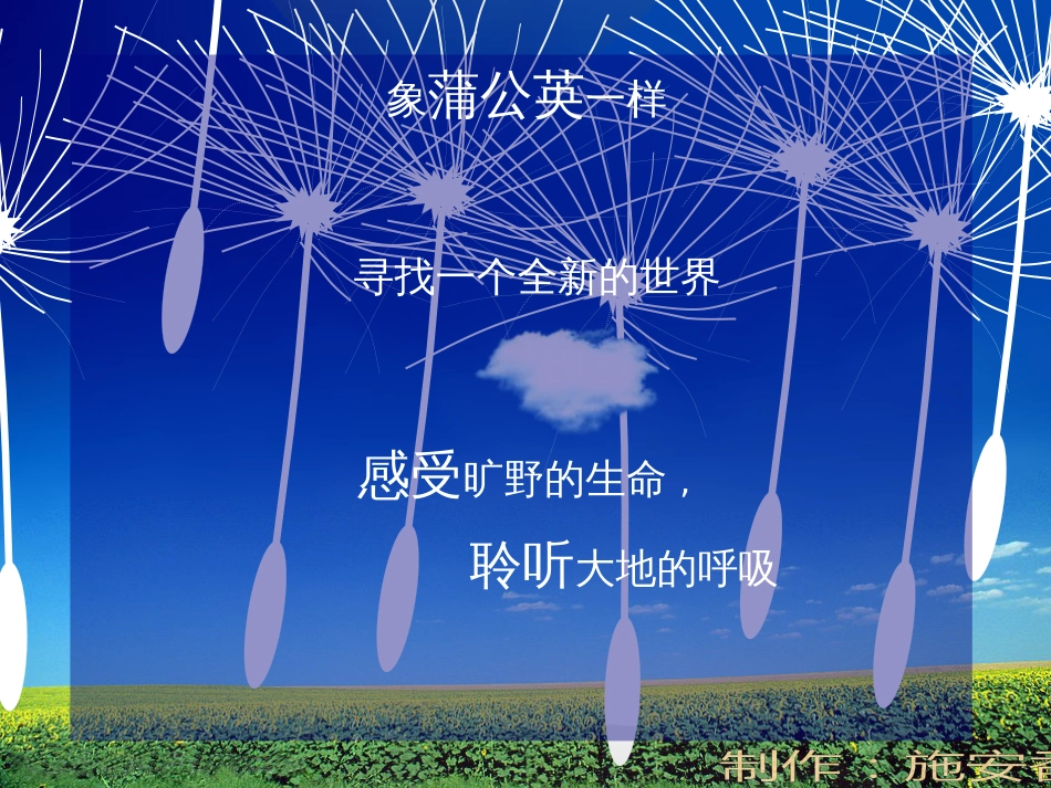 七年级生物下册 第五单元 第13章 土壤的生物 第2节 土壤里的微生物课件4 （新版）苏科版_第3页