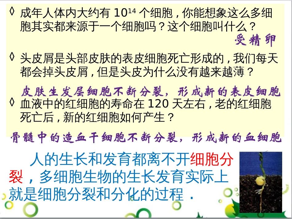 高中生物 专题5 生态工程 阶段复习课课件 新人教版选修3 (185)_第3页