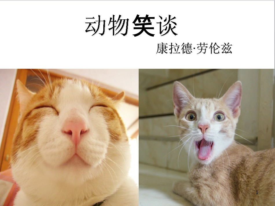 七年级语文上册 第一单元 作文训练 热爱生活，热爱写作课件 新人教版 (62)_第1页